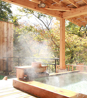 日帰りのご利用について